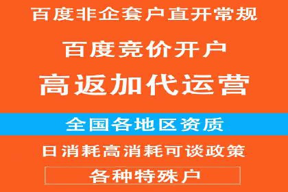 SEM外包策略在电商平台的成功案例